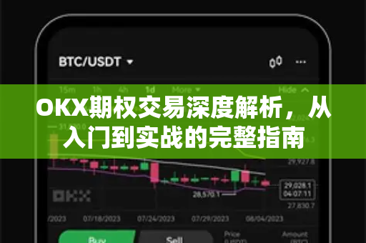 OKX期权交易深度解析，从入门到实战的完整指南