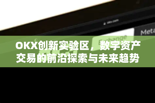 OKX创新实验区，数字资产交易的前沿探索与未来趋势