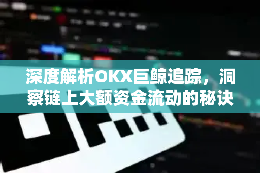 深度解析OKX巨鲸追踪，洞察链上大额资金流动的秘诀