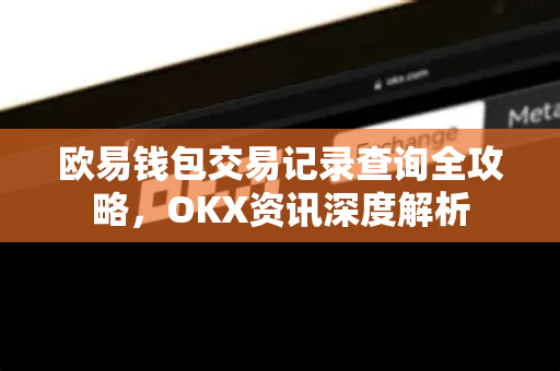 欧易钱包交易记录查询全攻略，OKX资讯深度解析