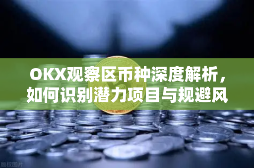 OKX观察区币种深度解析，如何识别潜力项目与规避风险？