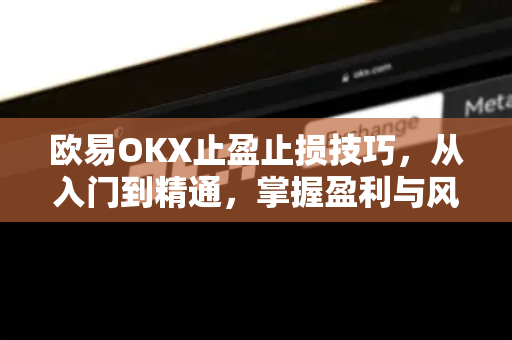 欧易OKX止盈止损技巧，从入门到精通，掌握盈利与风控的核心法则